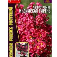 Семена цветов Лагерстремия &laquo;Индийская Сирень&raquo;, 10 шт. &laquo;Григорьев&raquo;