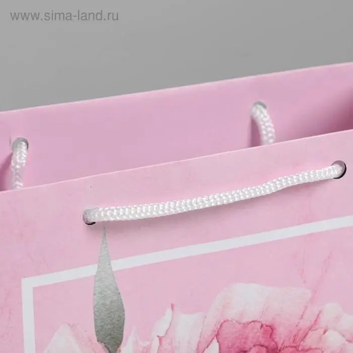 Пакет подарочный ламинированный, упаковка, «Пион», MS 18 х 23 х 8 см