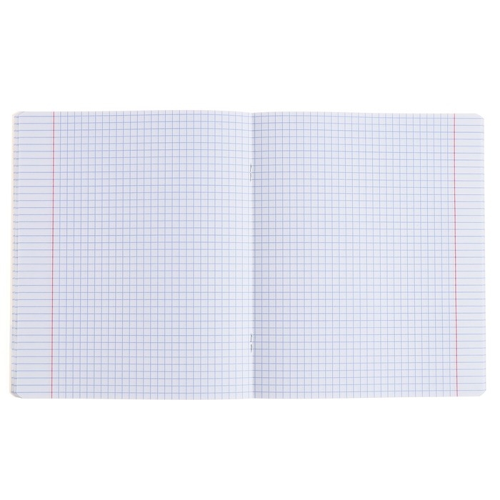 Тетрадь предметная ФИЗИКА, 48 листов в клетку, ErichKrause Be Informed, пластиковая обложка, шелкография, блок офсет 100% белизна, инфо-блок Тетрадь предметная ФИЗИКА, 48 листов в клетку, ErichKrause Be Informed, пластиковая обложка, шелкография, блок офсет 100% белизна, инфо-блок