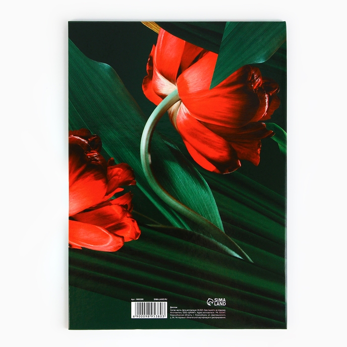 Диплом «Любимым родителям», А5, 21 х 15 см. Диплом «Любимым родителям», А5, 21 х 15 см.