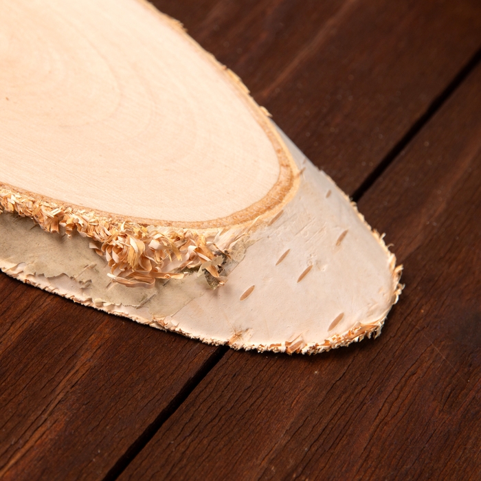 Срез дерева косой, 17-22см Срез дерева косой, 17-22см