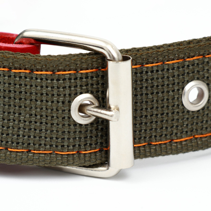 Ошейник брезентовый двухслойный, 72 х 3,5 см, ОШ 45-60 см, хаки Ошейник брезентовый двухслойный, 72 х 3,5 см, ОШ 45-60 см, хаки