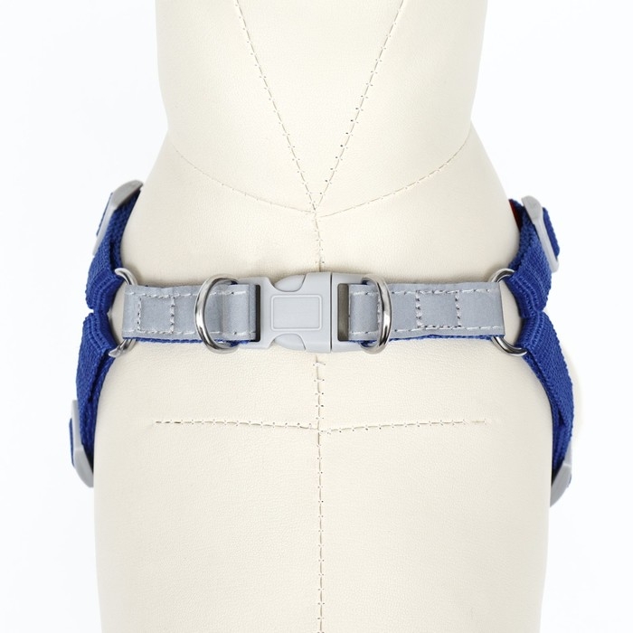 Комплект Sport+, S, поводок 150 x 1,5 см, ОШ 39-41 см, ОГ 44-48 см, вес животного 7-13 кг, синий 96 Комплект Sport+, S, поводок 150 x 1,5 см, ОШ 39-41 см, ОГ 44-48 см, вес животного 7-13 кг, синий 96