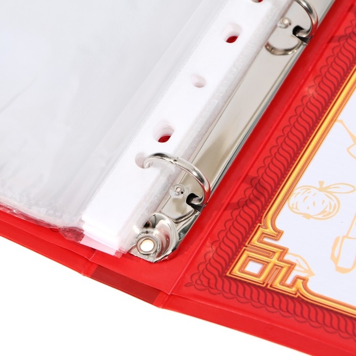 Папка школьная на кольцах «Портфолио школьника», 13 листов-разделителей, 24,5 х 32 см. Папка школьная на кольцах «Портфолио школьника», 13 листов-разделителей, 24,5 х 32 см.