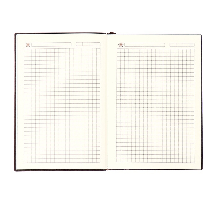 Ежедневник недатированный, формат А6+,116 листов, клетка, ЛАЙТ Коричневый, тониров. срез Ежедневник недатированный, формат А6+,116 листов, клетка, ЛАЙТ Коричневый, тониров. срез