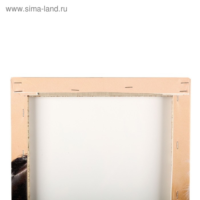 Картина модульная на подрамнике  Картина модульная на подрамнике "Скакуны" (2-25х50, 30х60 см) 80х60 см