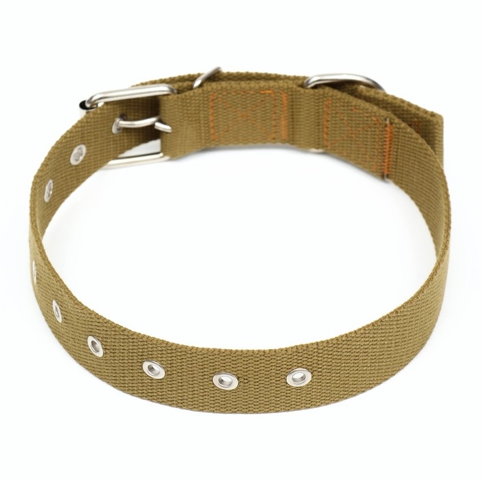 Ошейник брезентовый безразмерный однослойный, 72 х 3,5 см, песочный Ошейник брезентовый безразмерный однослойный, 72 х 3,5 см, песочный
