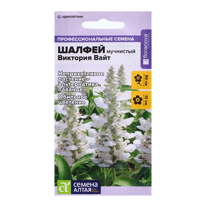 Семена Шалфей  Семена Шалфей "Виктория Вайт", 10 шт.