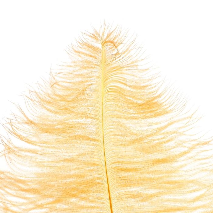 Перо для декора, длина: от 45 до 60 см, цвет персиковый