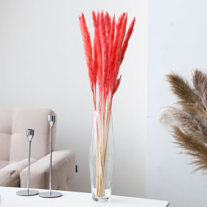 Сухоцвет &laquo;Камыш&raquo; набор 15 шт, цвет нежно розовый