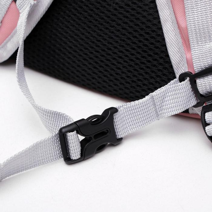 Рюкзак для переноски кошек и собак, прозрачный, 31 х 28 х 42 см, розовый Рюкзак для переноски кошек и собак, прозрачный, 31 х 28 х 42 см, розовый