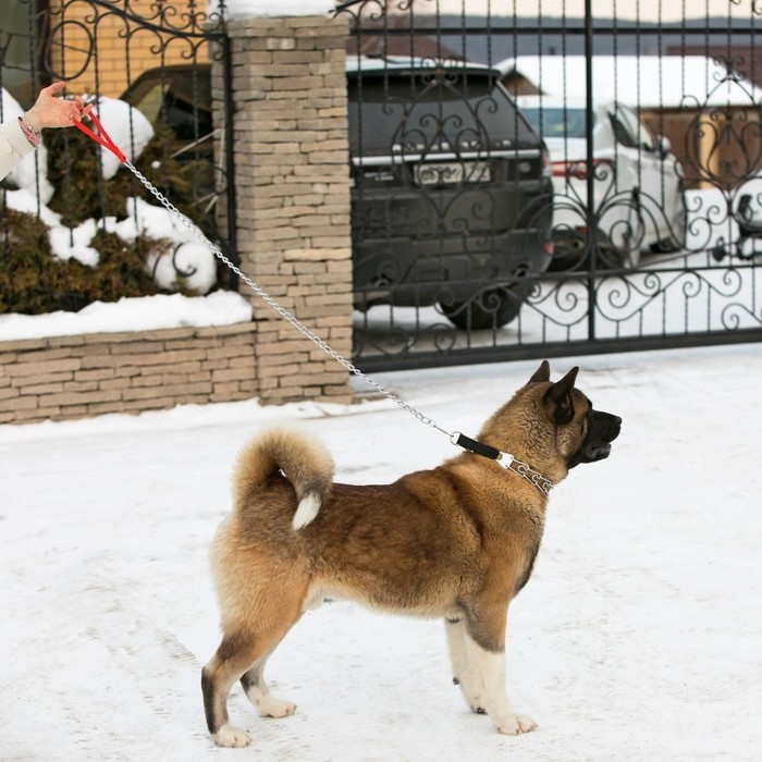 Поводок металлический, 120 см х 4 мм Поводок металлический, 120 см х 4 мм