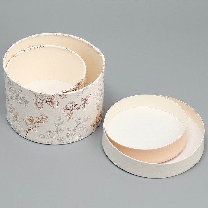 Набор шляпных коробок 2 в 1, упаковка подарочная, «Нежность», 16 х 11.5, 13 х 9 см Набор шляпных коробок 2 в 1, упаковка подарочная, «Нежность», 16 х 11.5, 13 х 9 см