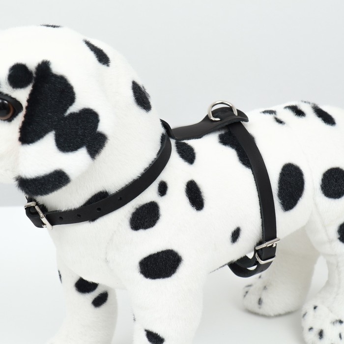 Шлейка кожаная однослойная Шлейка кожаная однослойная "Люкс", ОШ 26-34 см, ОГ 36-44 см, ширина 1,1 см, чёрная