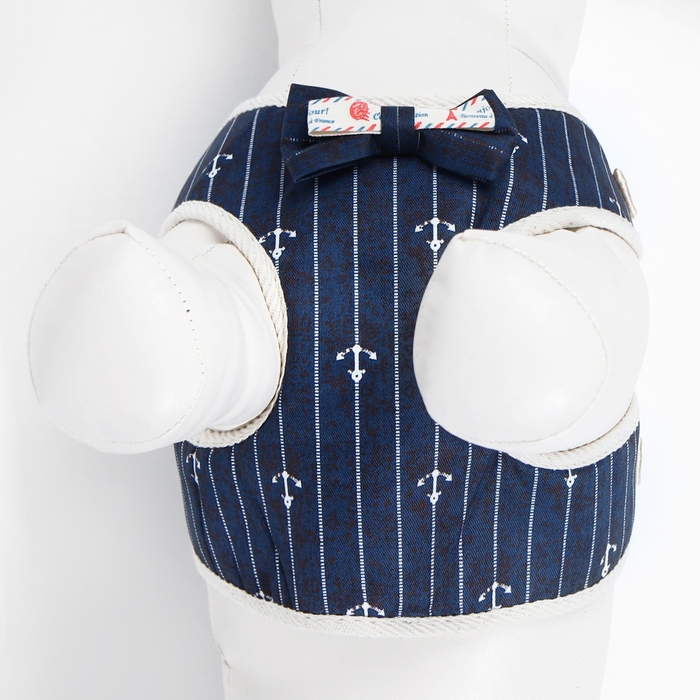 Комплект с мягкой шлейкой  Комплект с мягкой шлейкой "Якорь", размер M, поводок, 120 х 1,5 см, ОГ 34-66 см, синий