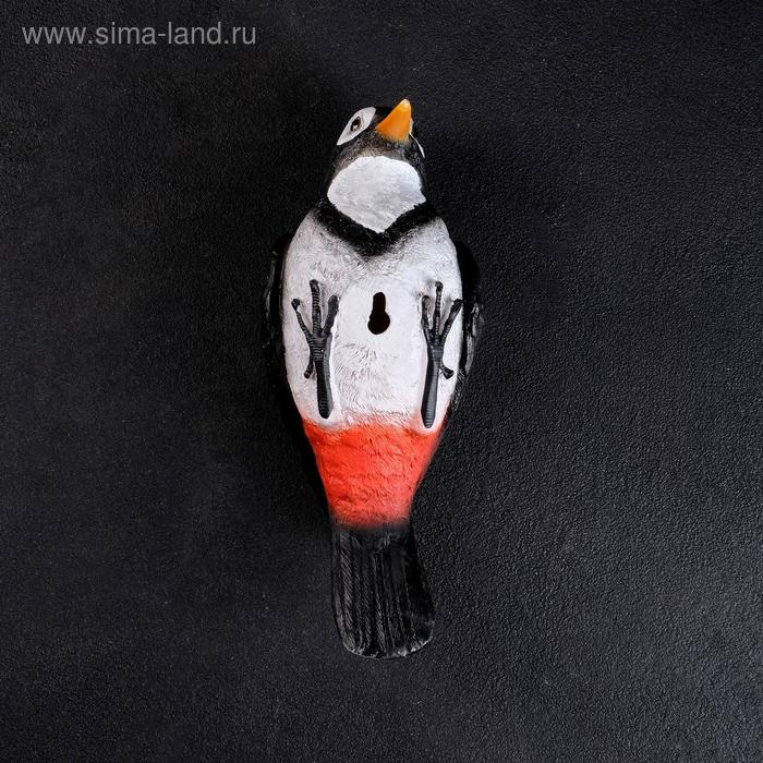 Подвесной декор Подвесной декор "Дятел" 10,5х9х23,5см