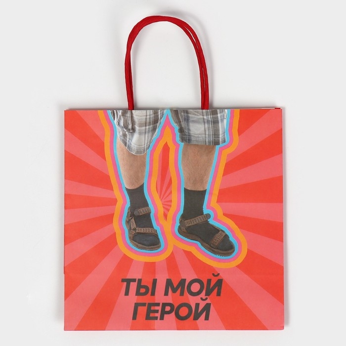 Пакет подарочный, упаковка, «Герой», 22 х 22 х 11 см