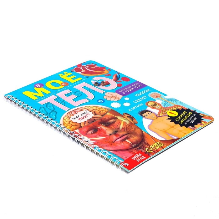 Книга с прозрачными страницами «Моё тело», 32 стр. Книга с прозрачными страницами «Моё тело», 32 стр.