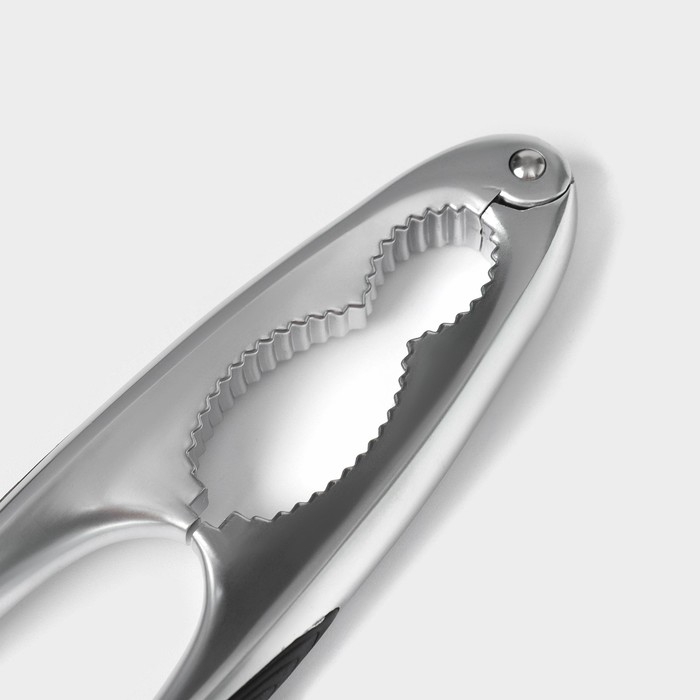 Орехокол Veil, цвет серый Орехокол Veil, цвет серый