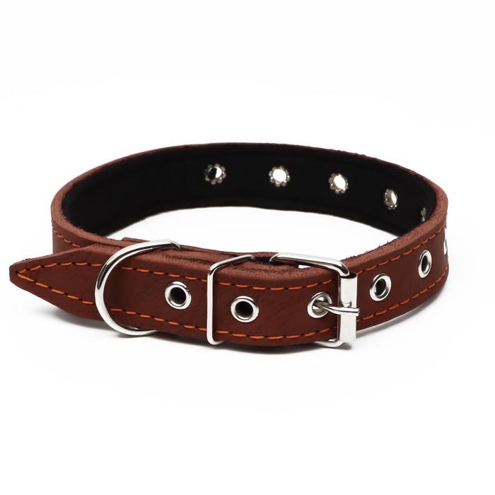 Ошейник кожаный на синтепоне, безразмерный, 54 х 2,5 см, ОШ 19-47 см, коричневый Ошейник кожаный на синтепоне, безразмерный, 54 х 2,5 см, ОШ 19-47 см, коричневый