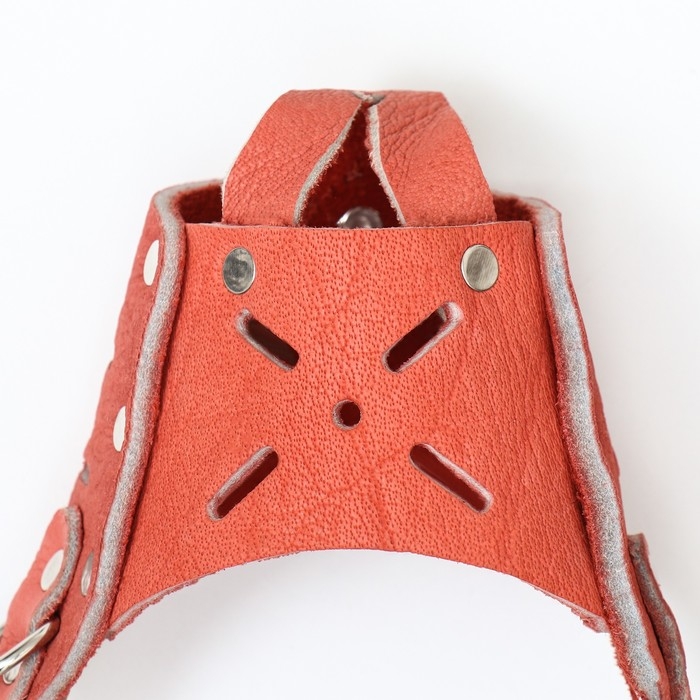 Намордник регулируемый из мягкой кожи, размер № 1, ДН 4-5 см, ОМ 13-15 см, коричневый Намордник регулируемый из мягкой кожи, размер № 1, ДН 4-5 см, ОМ 13-15 см, коричневый