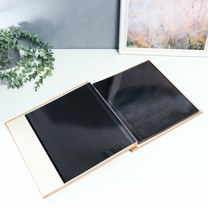 Фотоальбом магнитный 20 листов Фотоальбом магнитный 20 листов "Пёрышки и круги" в коробке 34х4х33 см