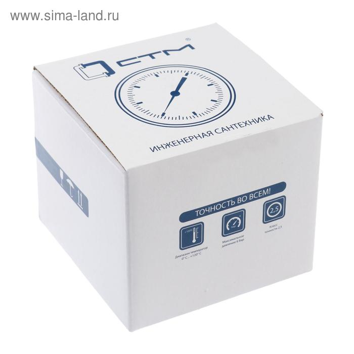 Термоманометр "CTM", аксиальный, Дк 80 мм, 0.6 МПа, наружная резьба 1/4", 120°С