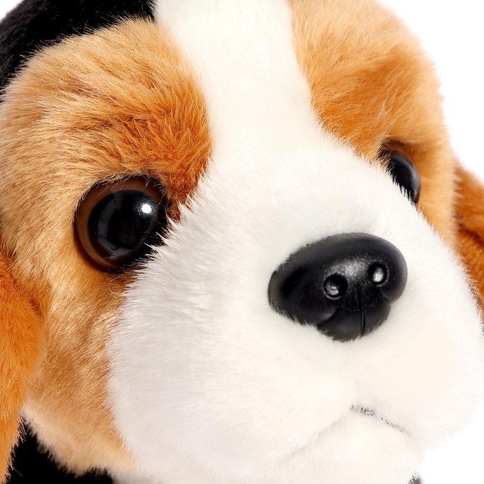 Мягкая игрушка «Собака эстонская гончая», 20 см Мягкая игрушка «Собака эстонская гончая», 20 см