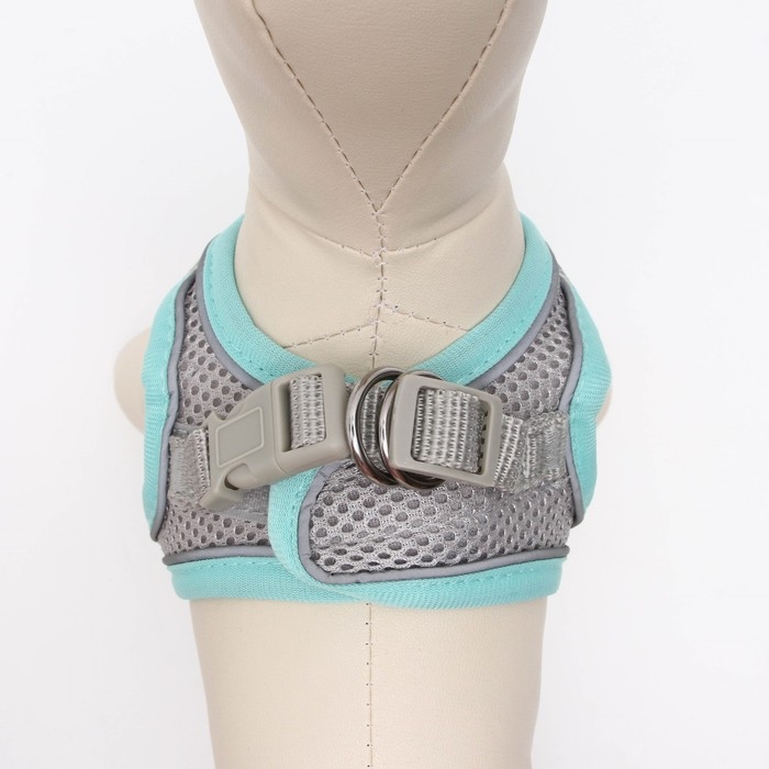 Комплект с мягкой шлейкой, быстросъемный, XS, поводок 150 х1,5 см, ОШ 29-32 ОГ 31-34 см, бирюзовый Комплект с мягкой шлейкой, быстросъемный, XS, поводок 150 х1,5 см, ОШ 29-32 ОГ 31-34 см, бирюзовый