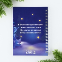 Подарочный набор новогодний «Для маленькой принцессы», ручка, блокнот А6, 40 л