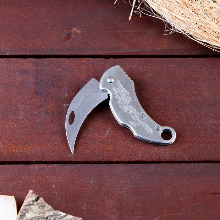 Нож-керамбит "Дракон" 14,5см, клинок 65мм/2мм, серебристый