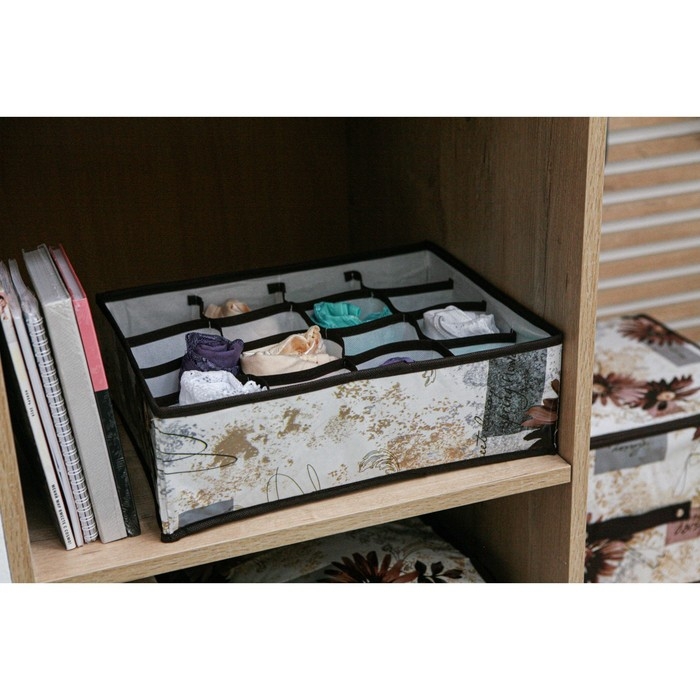 Органайзер для хранения белья Доляна «Астра», 16 ячеек, 36×28×12 см, цвет МИКС Органайзер для хранения белья Доляна «Астра», 16 ячеек, 36×28×12 см, цвет МИКС