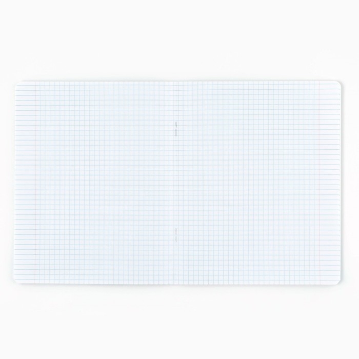 Набор первоклассника в папке для тетрадей 25 предметов «1 сентября: Папка отличника. Кот»