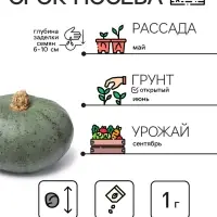 Семена Тыква мускатная "Прикубанская", 2 г