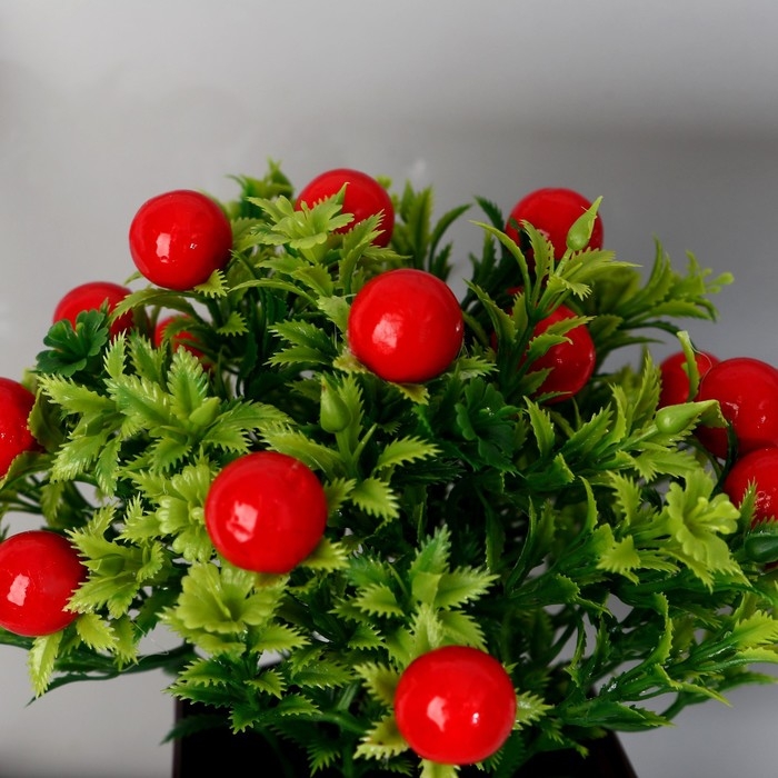 Бонсай в горшке Бонсай в горшке "Паслён ложноперечный" 19х20 см, микс