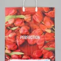 Пакет "Совершенство", полиэтиленовый с пластиковой ручкой, 38 х 45 + 3 см, 90 мкм