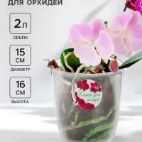 Кашпо для орхидей IDEA, 2 л, пластик, прозрачное