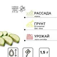 Семена Кабачок цукини &laquo;Куанд&raquo;, 1.5 г, &laquo;Удачные семена&raquo;