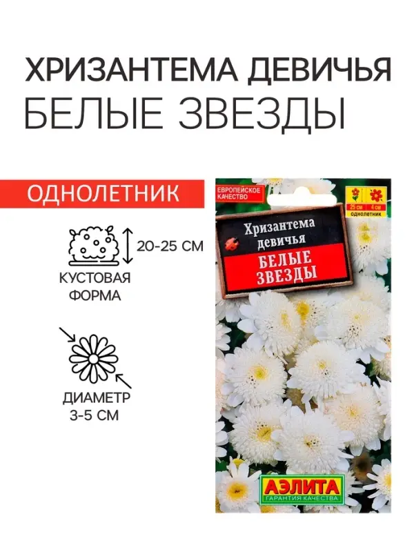Семена  цветов Хризантема девичья  Семена  цветов Хризантема девичья "Белые Звезды". О, 0,05 г