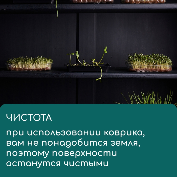 Коврик джутовый для выращивания микрозелени, 10 × 15 см, толщина 1 см, набор 5 шт. Коврик джутовый для выращивания микрозелени, 10 × 15 см, толщина 1 см, набор 5 шт.