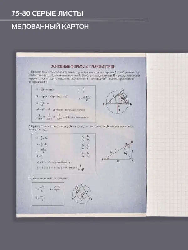 Тетрадь предметная 48 листов в клетку Calligrata «3D. Геометрия», серые листы