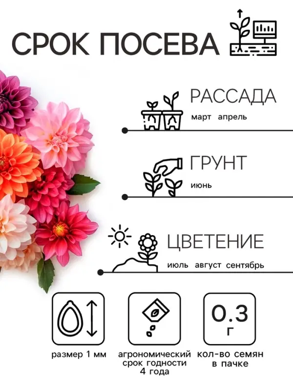 Семена цветов Георгин Семена цветов Георгин "Махровая смесь", 0,3 г