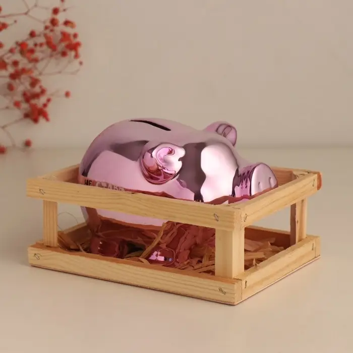 Копилка для денег &laquo;Хрюша в загоне. Не ставь мне рамки. Жизнь без границ&raquo;, керамика, 15.5&times;11.7&times;9.5 см