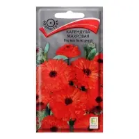 Набор семян Календула махровая "Ред виз блэк центр", 5 шт. Набор семян Календула махровая "Ред виз блэк центр", 5 шт.