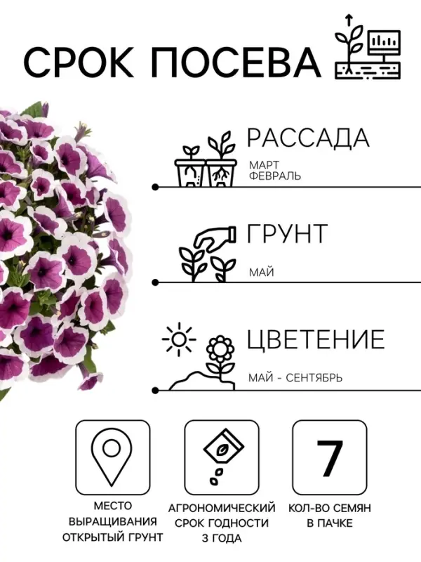 Семена цветов Петуния &laquo;Хулахуп&raquo; бургунди, F1, 7 шт., Sakata, &laquo;АЭЛИТА&raquo;