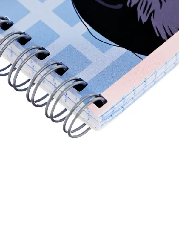 Набор тетрадей Calligrata &laquo;Аниме. Девочка с котом&raquo;, 3 штуки, 96 листов, на гребне, обложка из мелованного картона