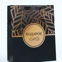 Пакет подарочный вертикальный &laquo;Подарок&raquo;, M, 25.5&times;30&times;9 см