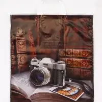 Пакет подарочный &laquo;Библиотека&raquo;, полиэтиленовый с петлевой ручкой, 38&times;42 см, 40 мкм