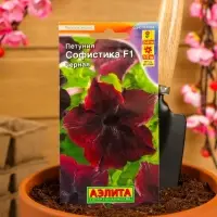 Набор семян Петуния Софистика черная F1 крупноцветковая, 4 шт., 2 шт. Набор семян Петуния Софистика черная F1 крупноцветковая, 4 шт., 2 шт.