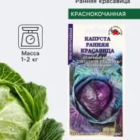 Семена Капуста краснокочанная &laquo;Ранняя красавица&raquo;, 0.3 г, раннеспелая, &laquo;Золотая Сотка Алтая&raquo;